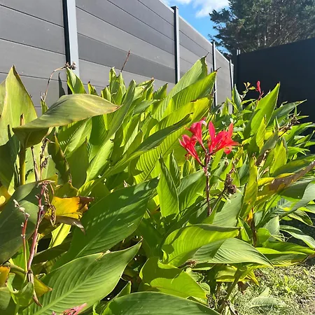 Appartement Cosy, Au Calme Proche Cnpe&jonzac